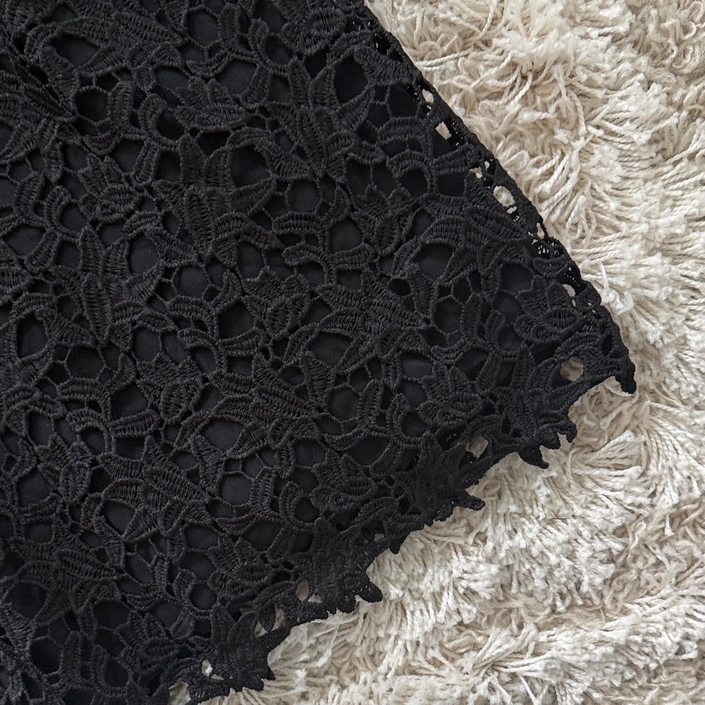 Blue Rain Black Lace Mini Dress - Picture 3 of 5
